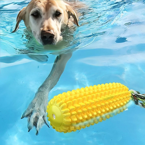 SqueakyCorn | Dog Chew Toy