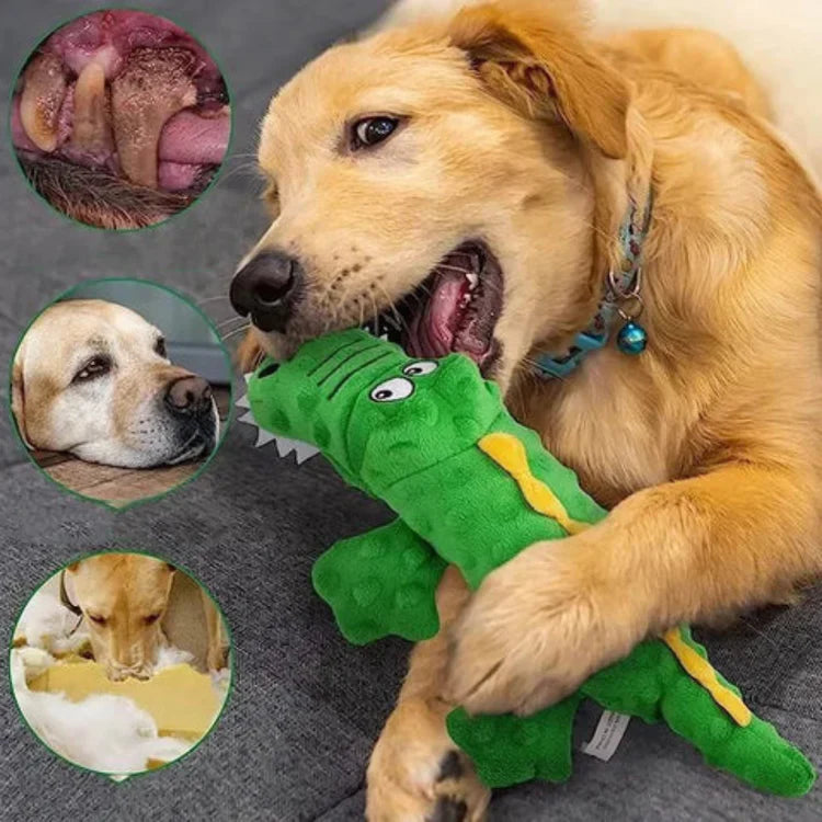 SqueakyPlush | Crocodile Dog Toy