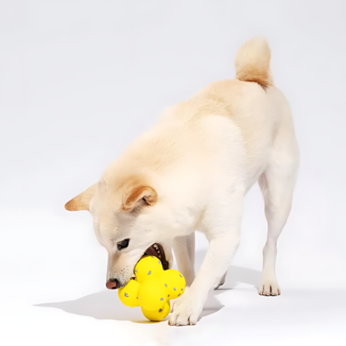 ActivePaw | Interactive Dog Ball