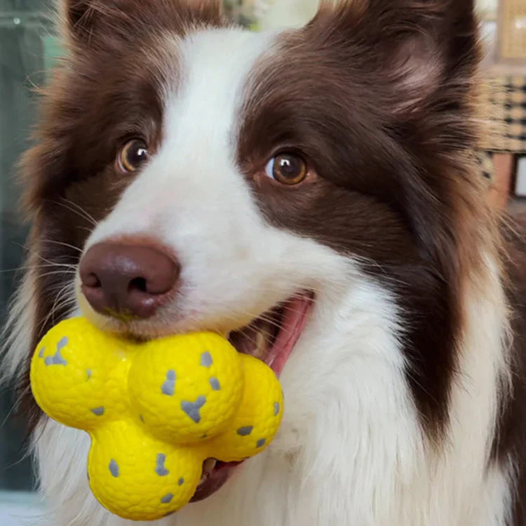 ActivePaw | Interactive Dog Ball