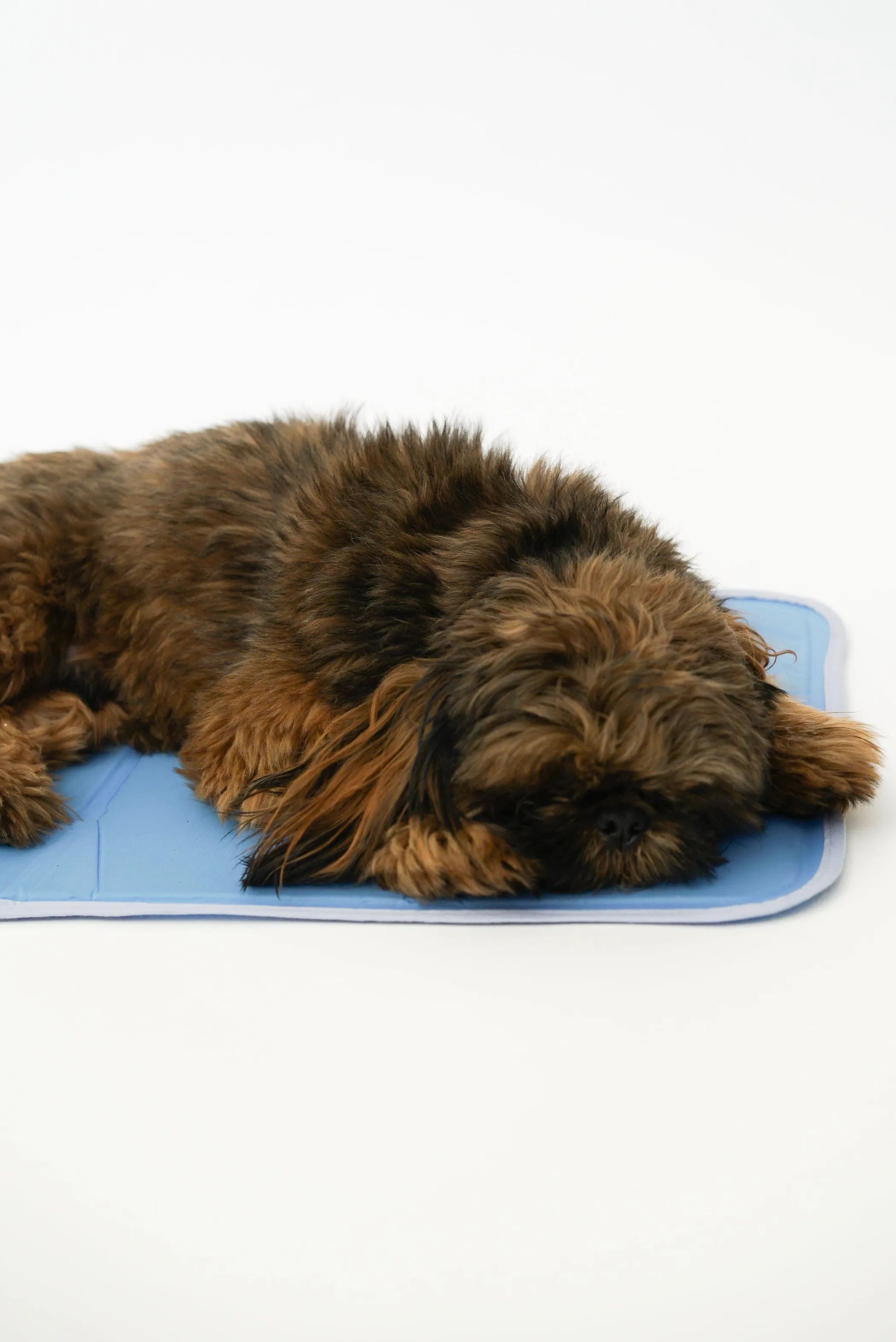The Green Pet Shop Cool Pet Pad – Pressure-Activated Dog Cooling Mat, Medium