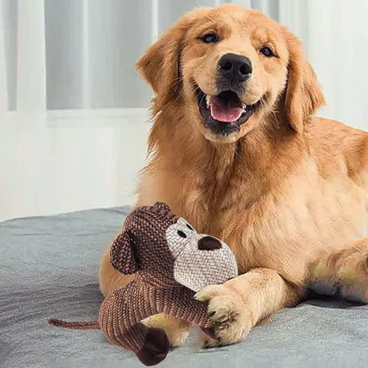 FluffyZoo | Plush Dog Toy
