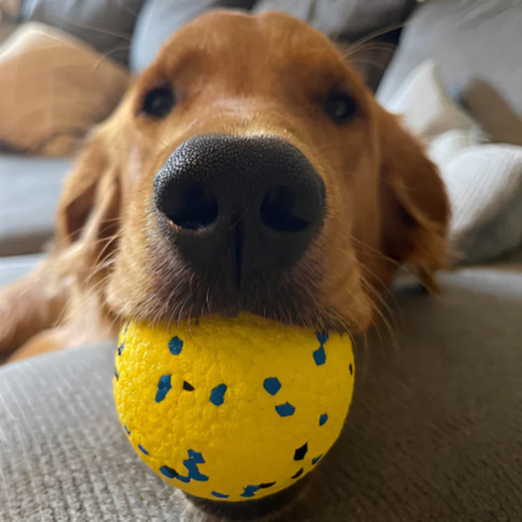 ActivePaw | Interactive Dog Ball