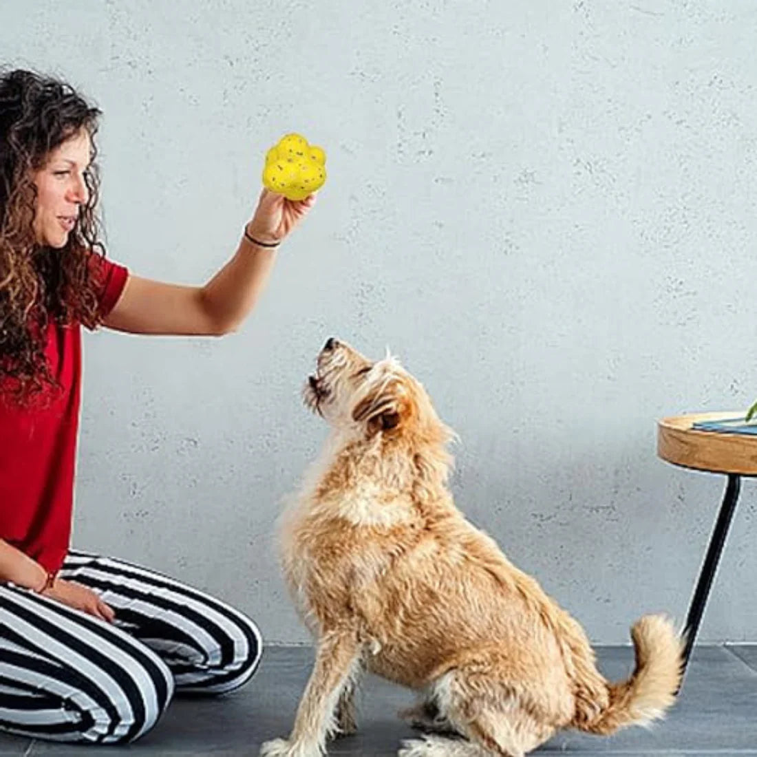ActivePaw | Interactive Dog Ball