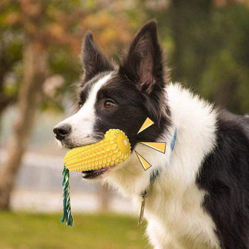 SqueakyCorn | Dog Chew Toy