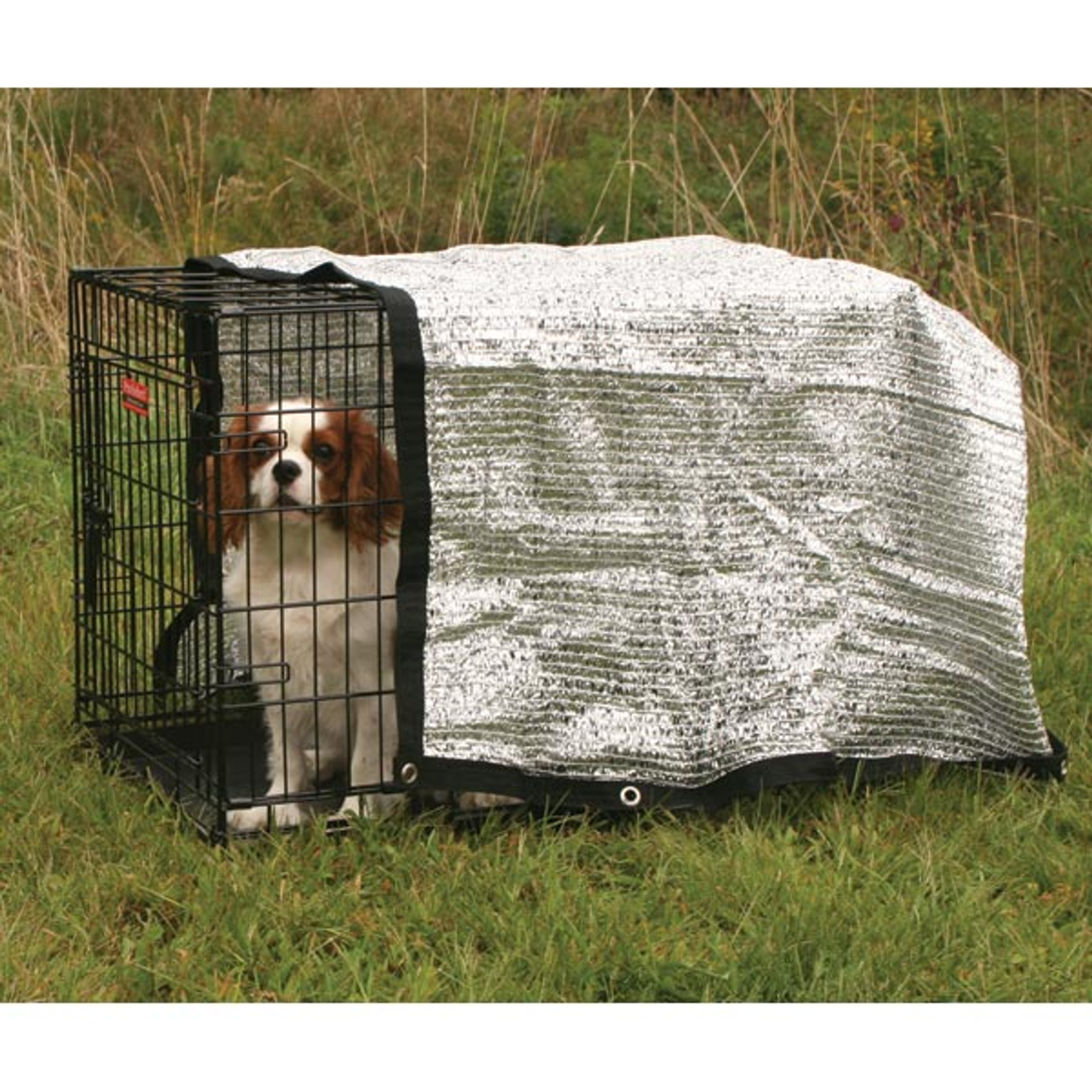 ProSelect Solar Canopy – 6x6 Ft Reflective UV Pet Shade Cover