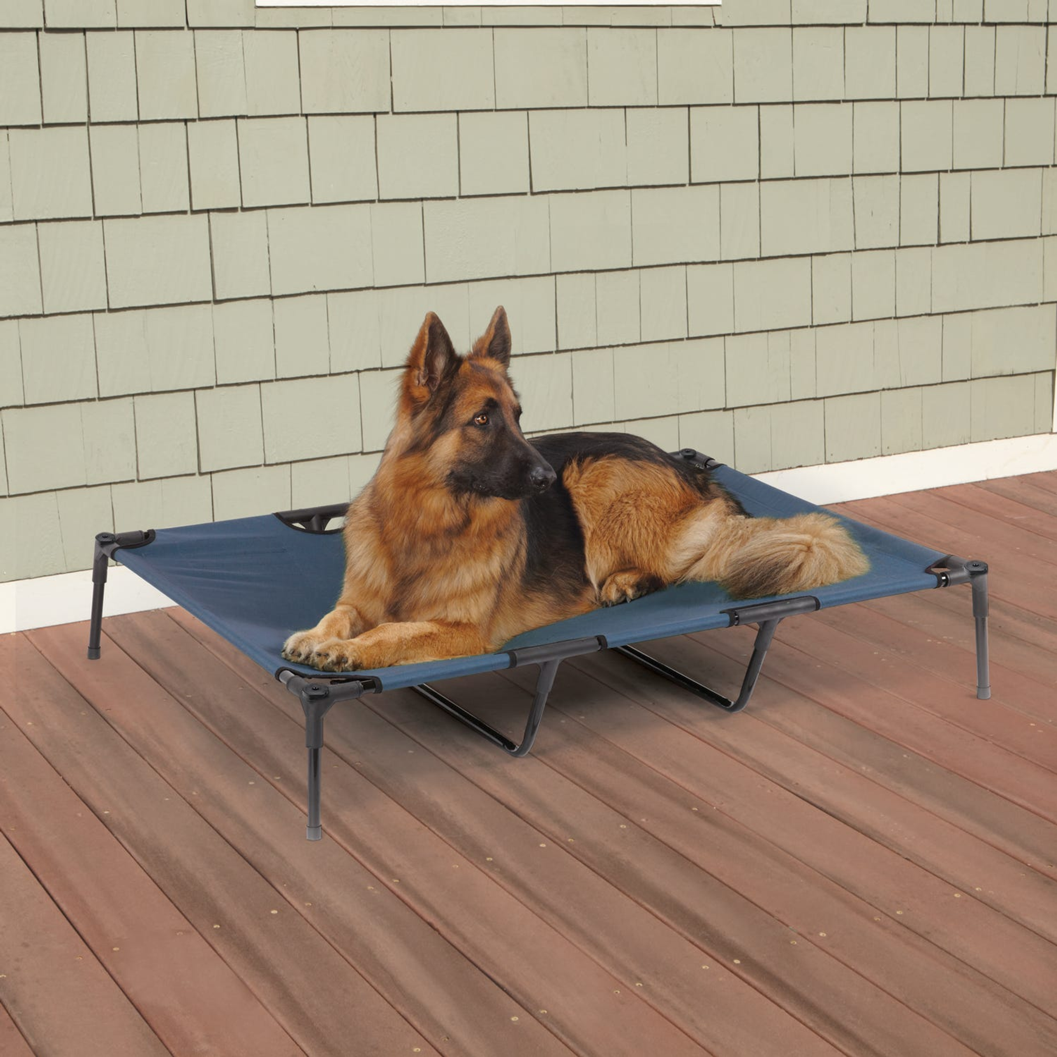 Guardian Gear Elevated Pet Cot – Blue XL Tear-Resistant Outdoor Dog Bed