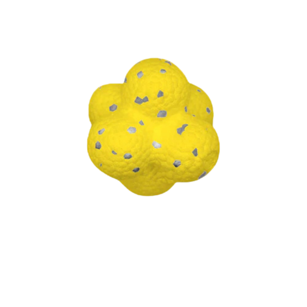 ActivePaw | Interactive Dog Ball