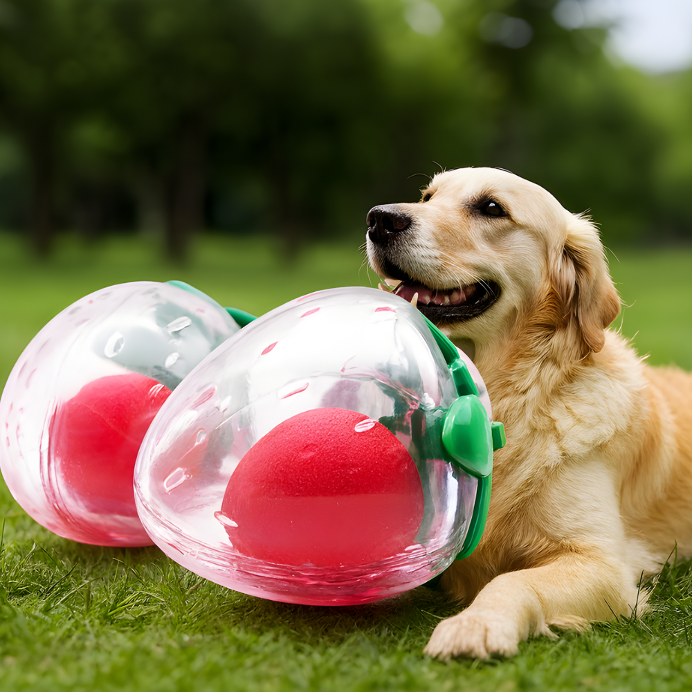 BerryPop │ Fruit Shaped Squeaky Rubber Dog Toy