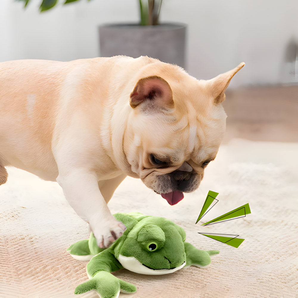 BounceBuddy │ Plush Frog Squeaky Dog Toy