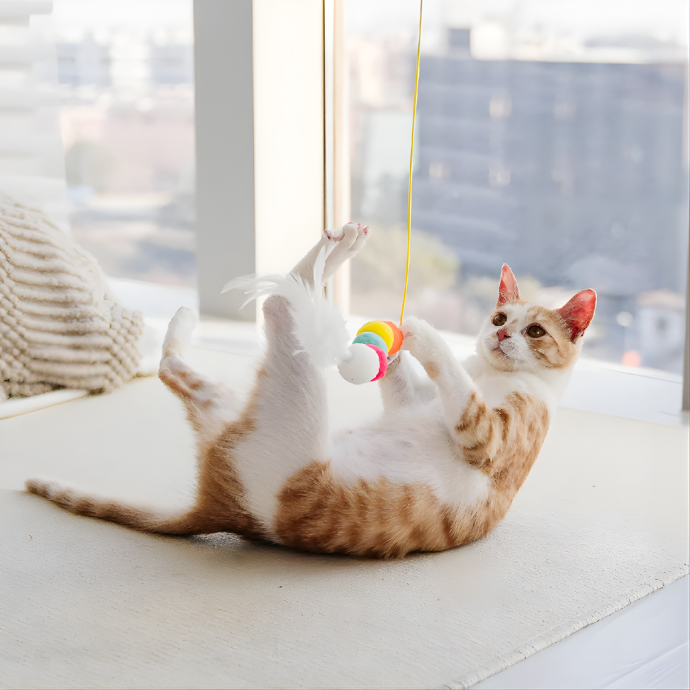 BounceCharm │ Hanging Cat Bungee Toy Set