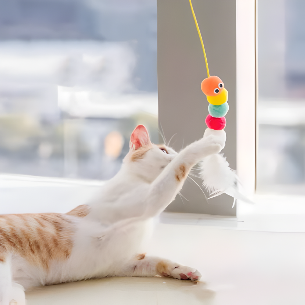 BounceCharm │ Hanging Cat Bungee Toy Set