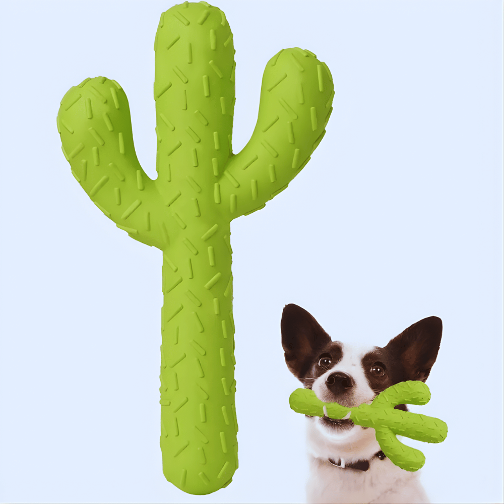 CactiChew │ Interactive Rubber Dental Chew Stick