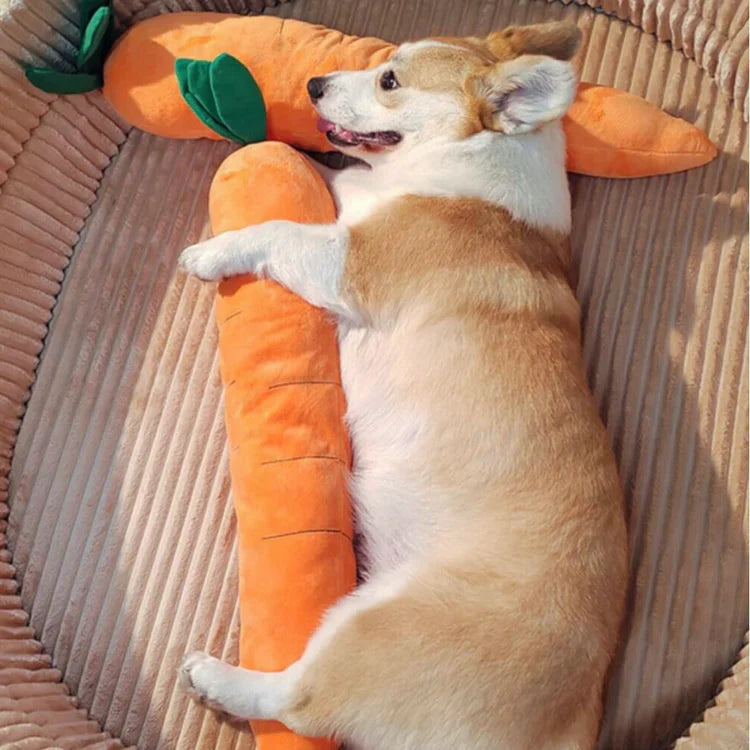 CarroPlay | Plush Dog Toy