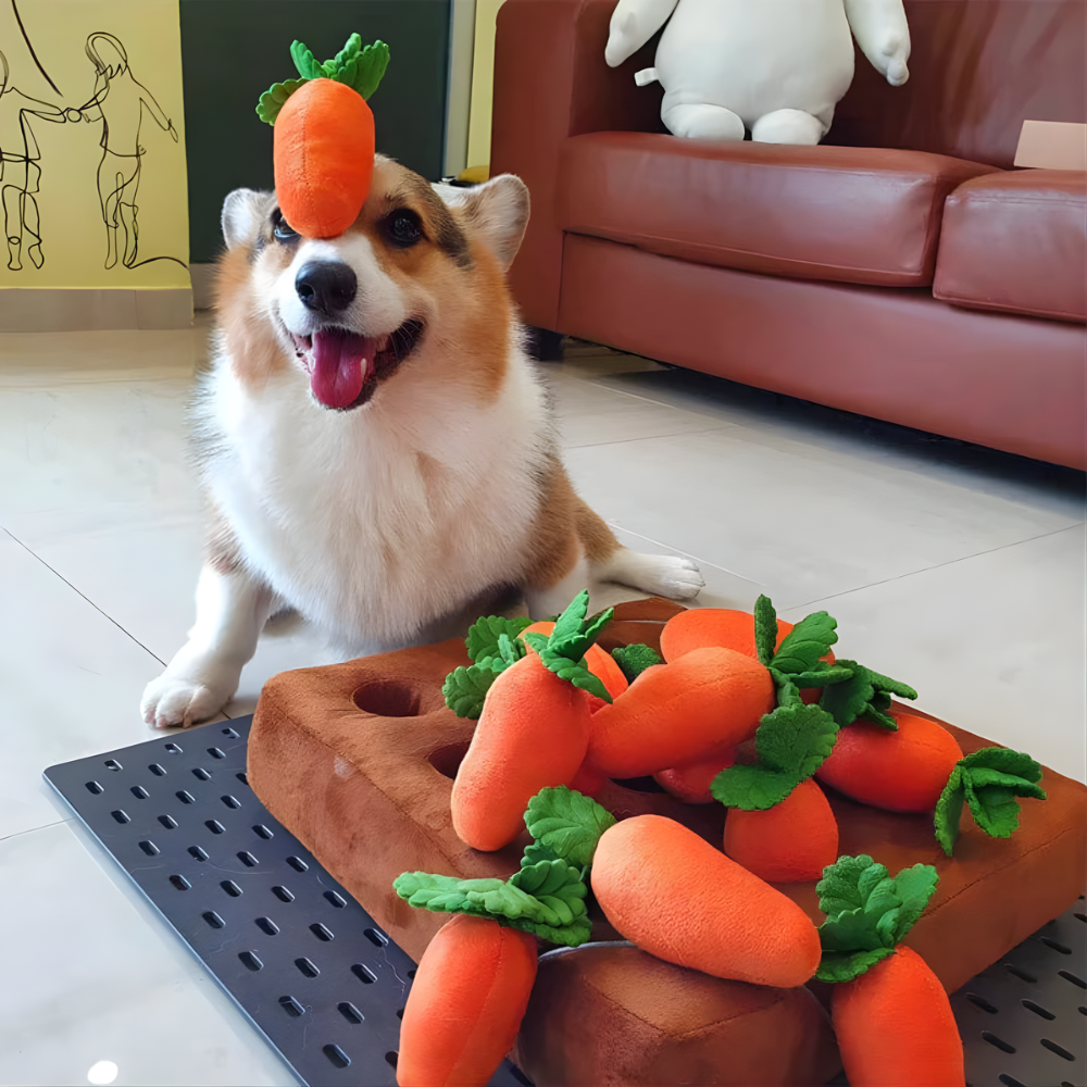 CarrotGarden | Interactive Dog Snuffle Toy