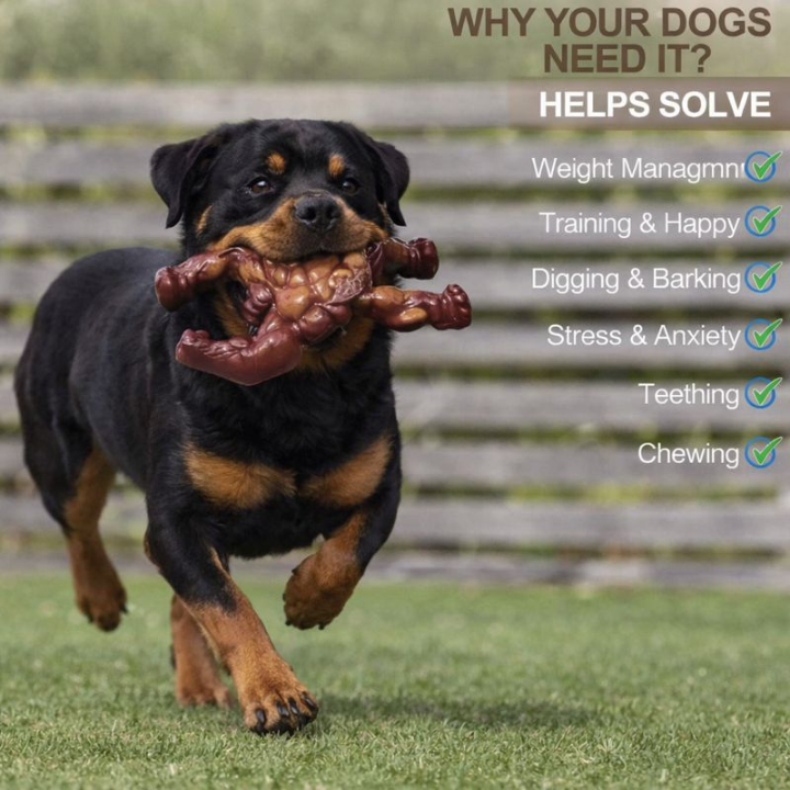 ChewRex │ Durable Dog Toy