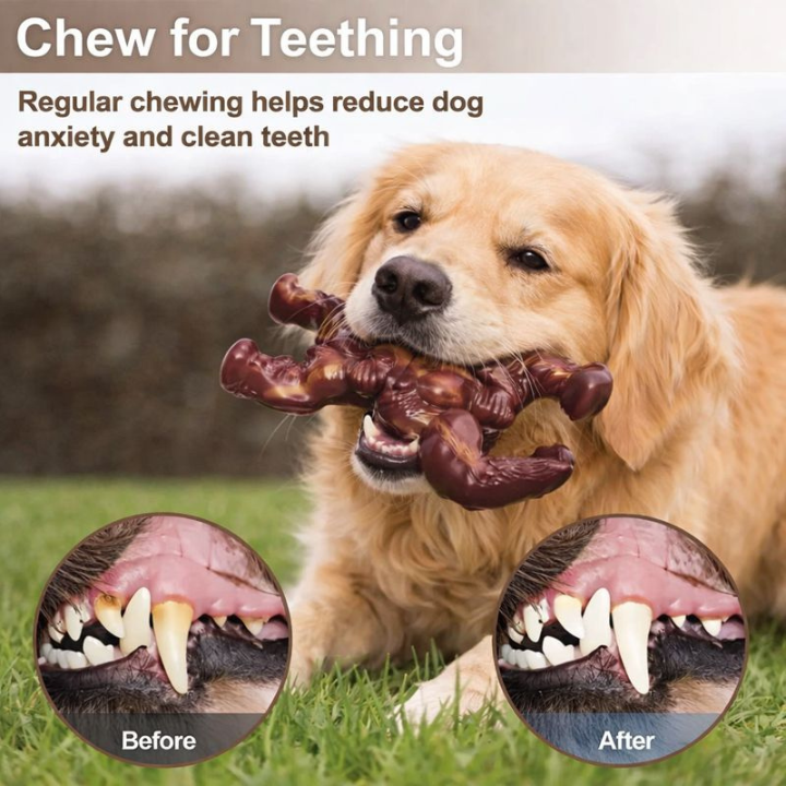 ChewRex │ Durable Dog Toy