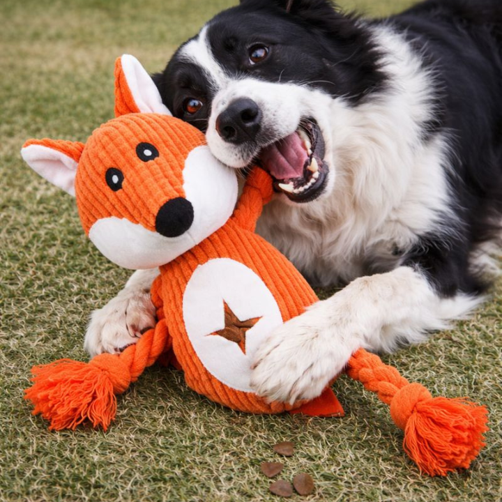 SqueakPelt │Tough Squeaky Plush Dog Toy