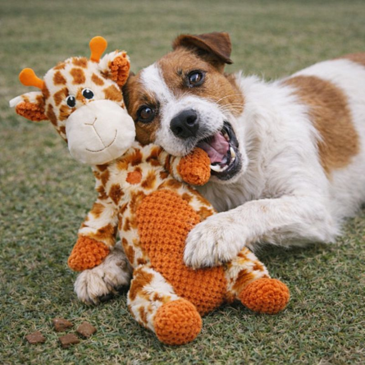 SqueakPelt │Tough Squeaky Plush Dog Toy