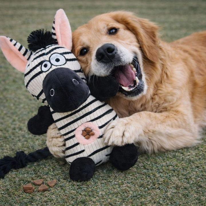 SqueakPelt │Tough Squeaky Plush Dog Toy