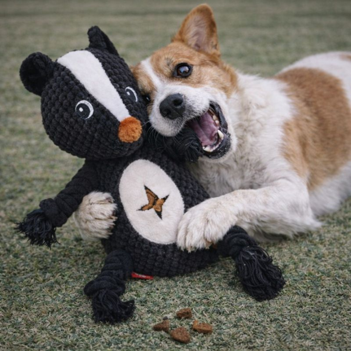 SqueakPelt │Tough Squeaky Plush Dog Toy