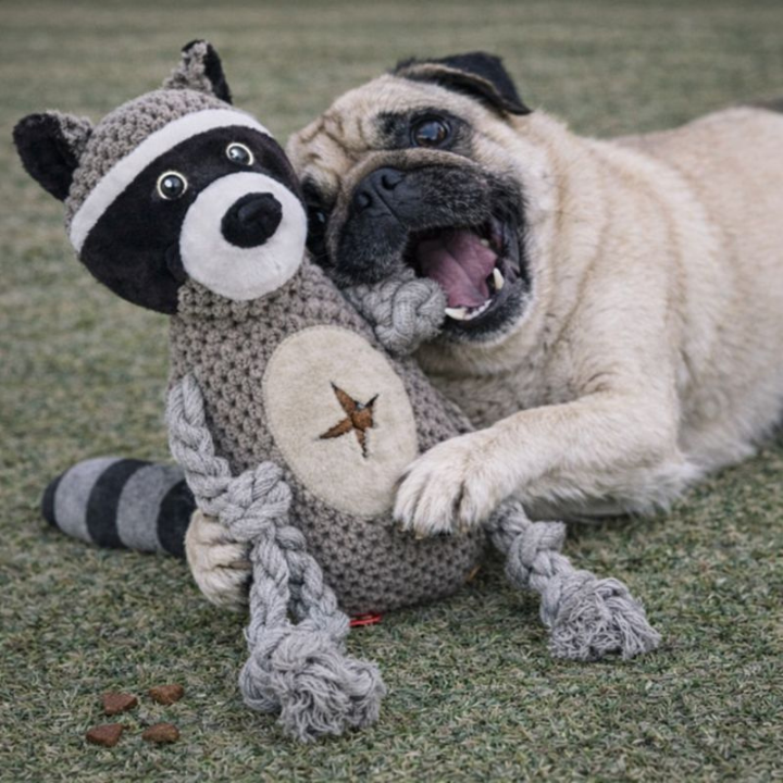 SqueakPelt │Tough Squeaky Plush Dog Toy