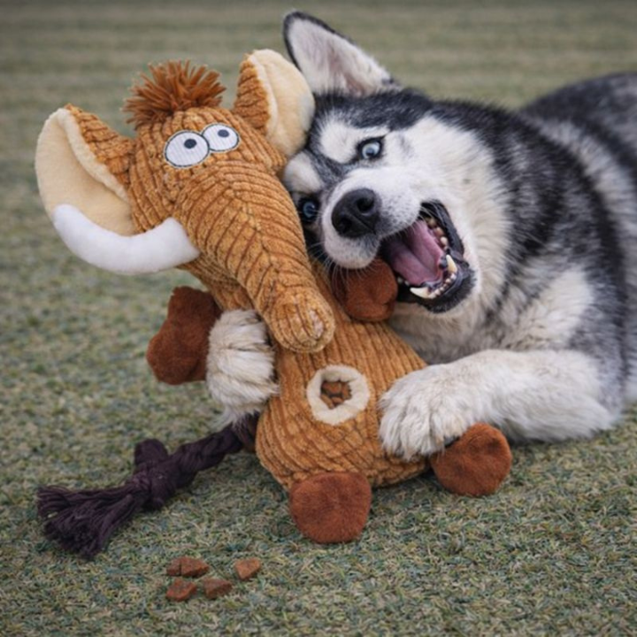 SqueakPelt │Tough Squeaky Plush Dog Toy