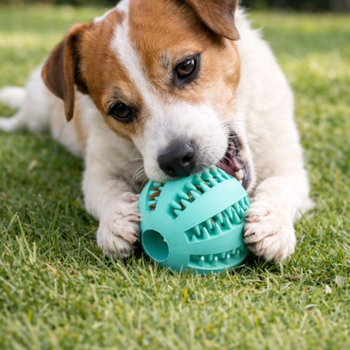 TreatForge │ Treat Dispensing Chew Ball