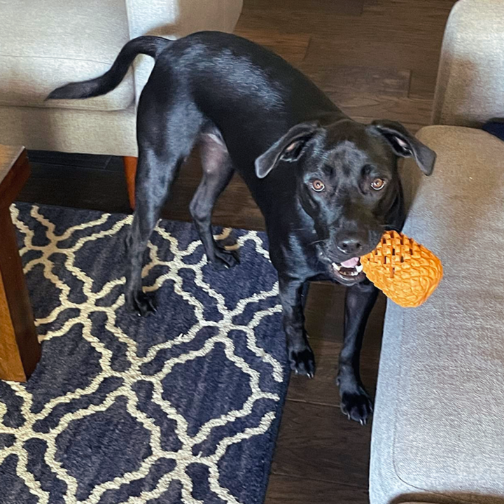 ChewCore │ Pineapple Treat Dispensing Dog Chew Toy