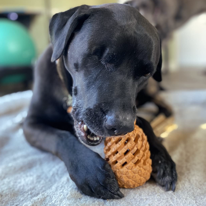 ChewCore │ Pineapple Treat Dispensing Dog Chew Toy