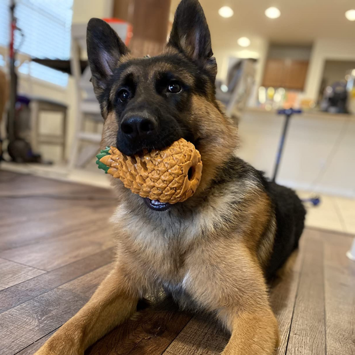 ChewCore │ Pineapple Treat Dispensing Dog Chew Toy