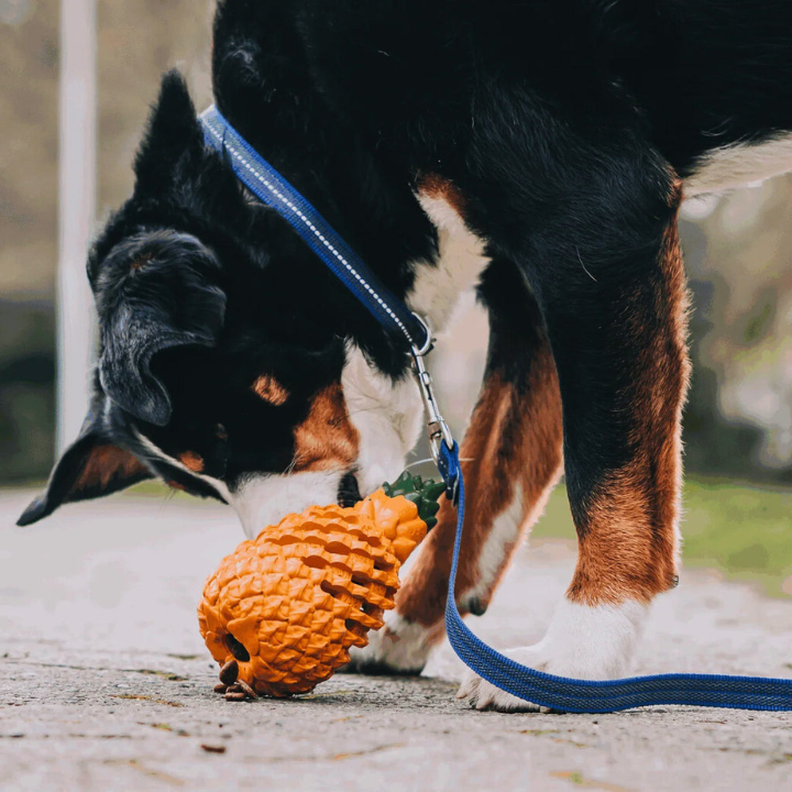 ChewCore │ Pineapple Treat Dispensing Dog Chew Toy