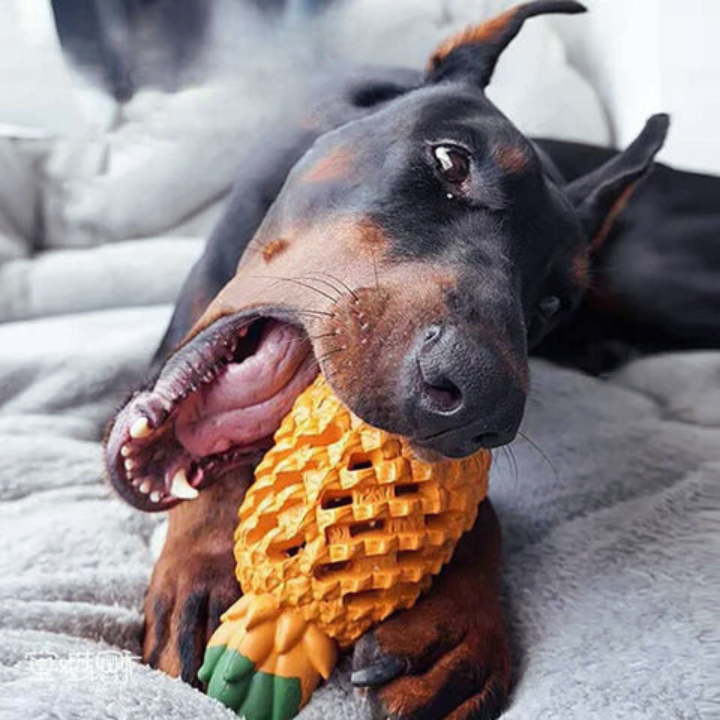 ChewCore │ Pineapple Treat Dispensing Dog Chew Toy