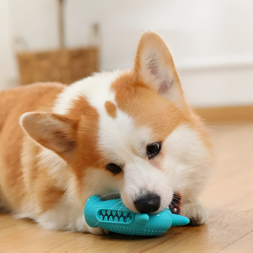 ChewTitan │ Durable Dog Chew Toy (2-Pack)