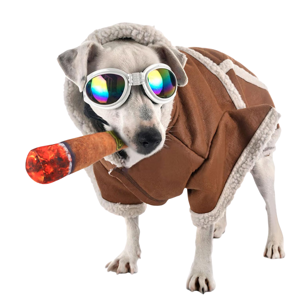 CigarPlay | Plush Squeaky Dog Toy