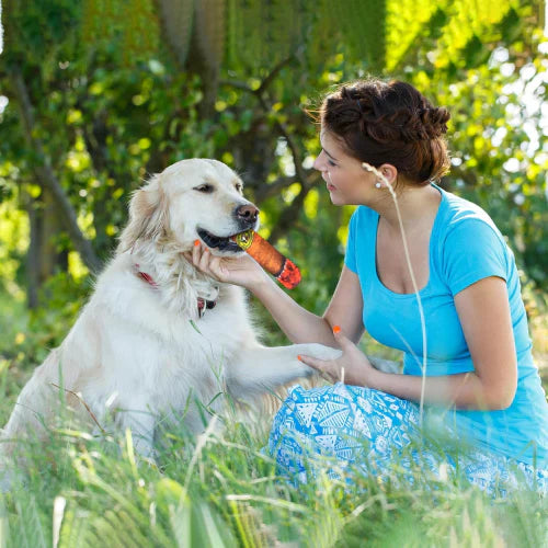 CigarPlay | Plush Squeaky Dog Toy