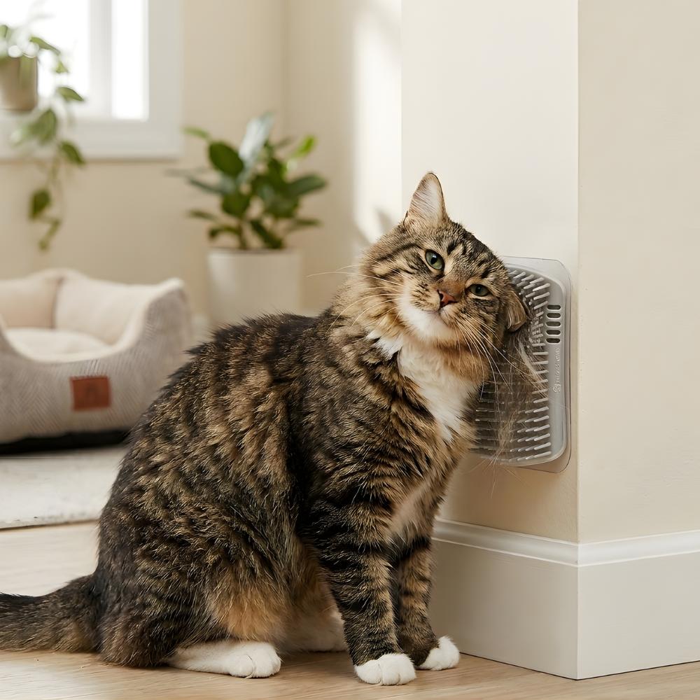 CornerGlow │ Wall Mounted Self Grooming Cat Brush (2-Pack)