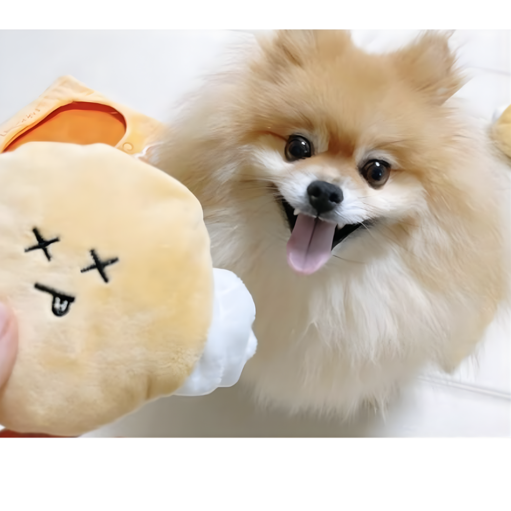 CrunchSnout | Interactive Sniff Dog Toy