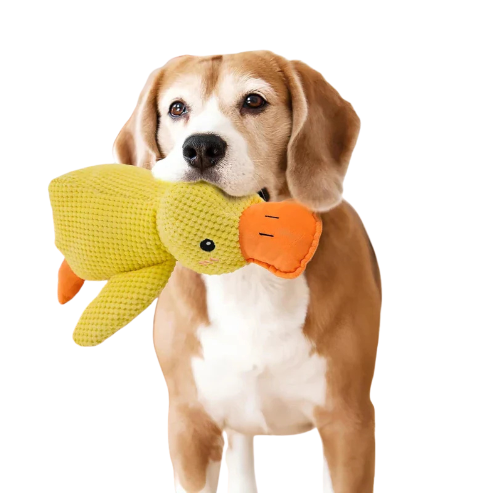 DuckBuddy | Calming Durable Duck