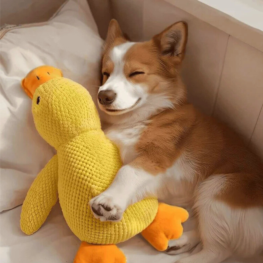 DuckBuddy | Calming Durable Duck