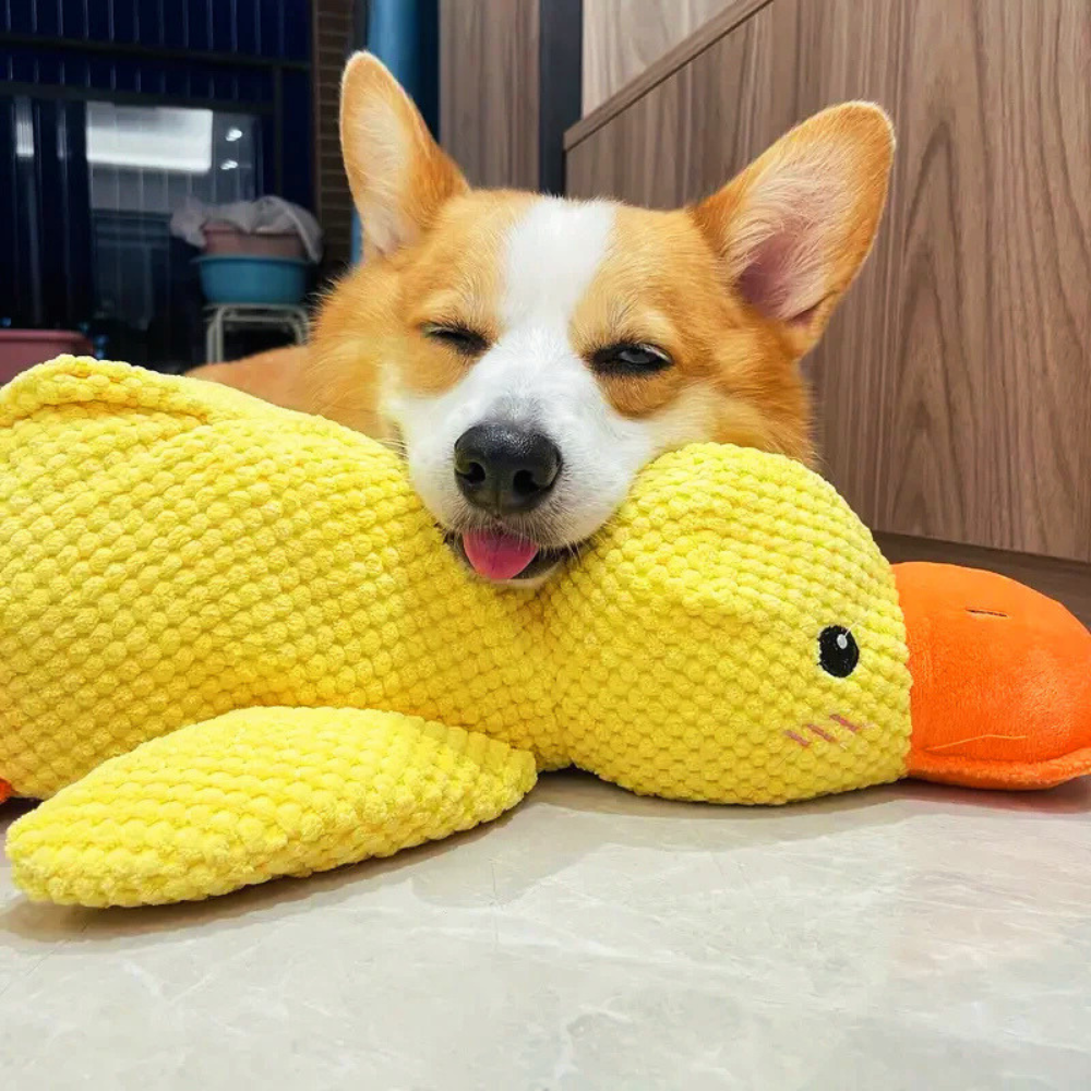 DuckBuddy | Calming Durable Duck
