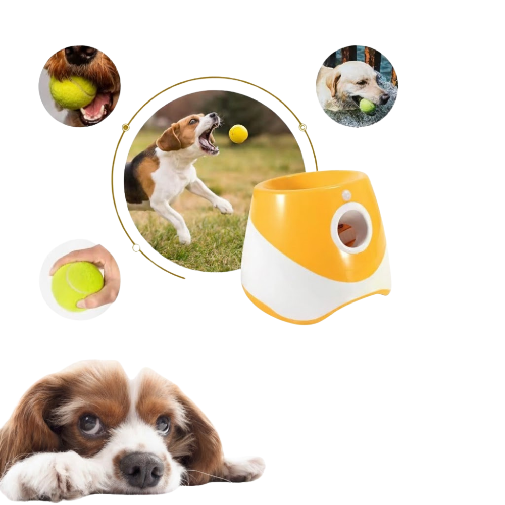FetchPro | Automatic Dog Ball Launcher