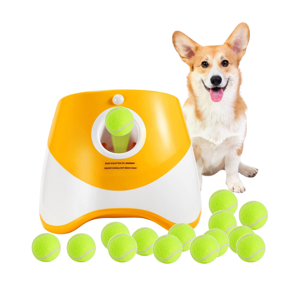 FetchPro | Automatic Dog Ball Launcher