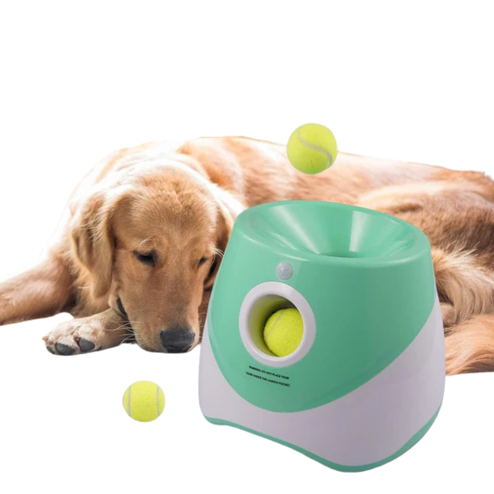 FetchPro | Automatic Dog Ball Launcher