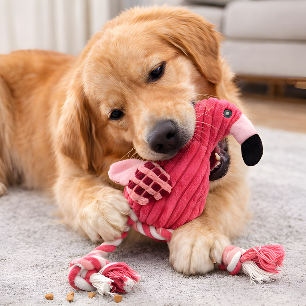FlamiTug │ Plush Flamingo Squeaky Tug Dog Toy