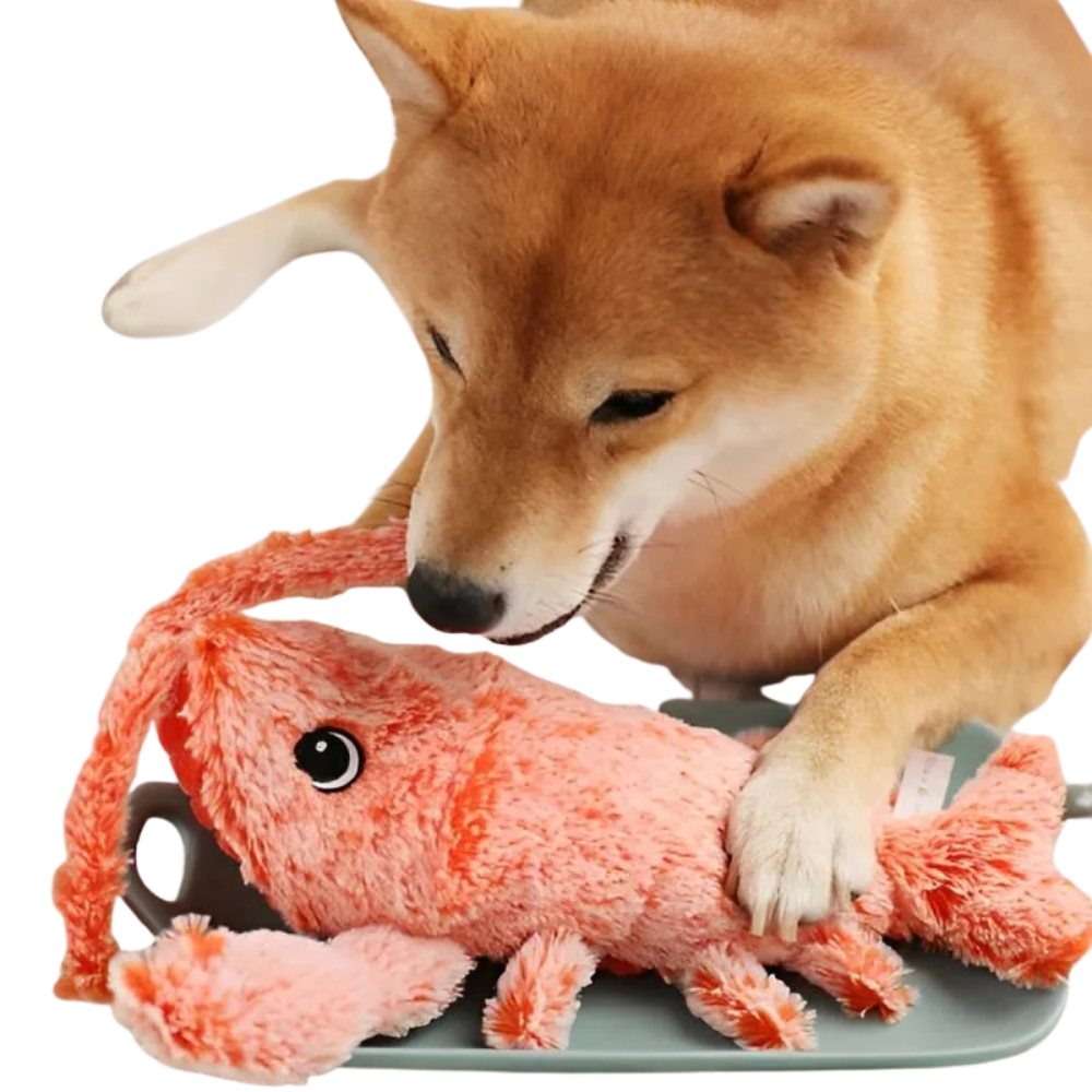 FloppyMotion | Lobster Toy Wiggle Plush Dog Toy