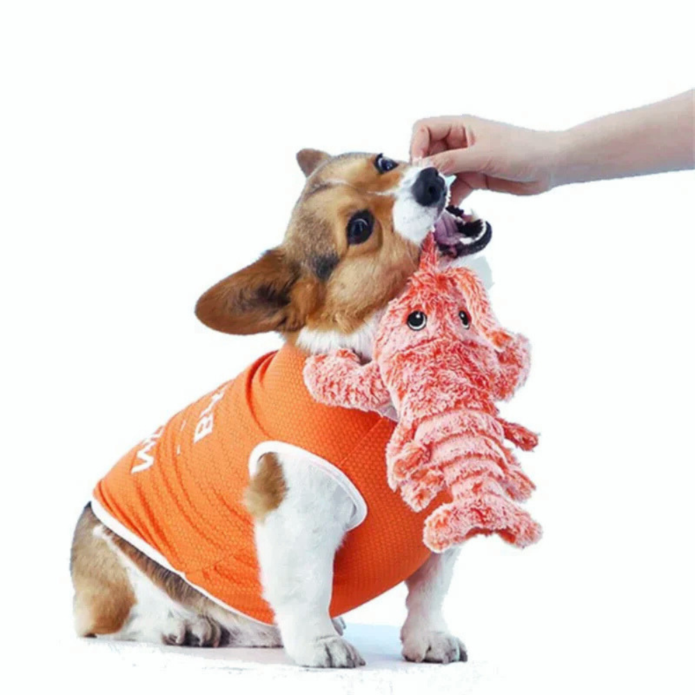 FloppyMotion | Lobster Toy Wiggle Plush Dog Toy