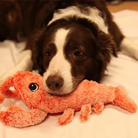 FloppyMotion | Lobster Toy Wiggle Plush Dog Toy