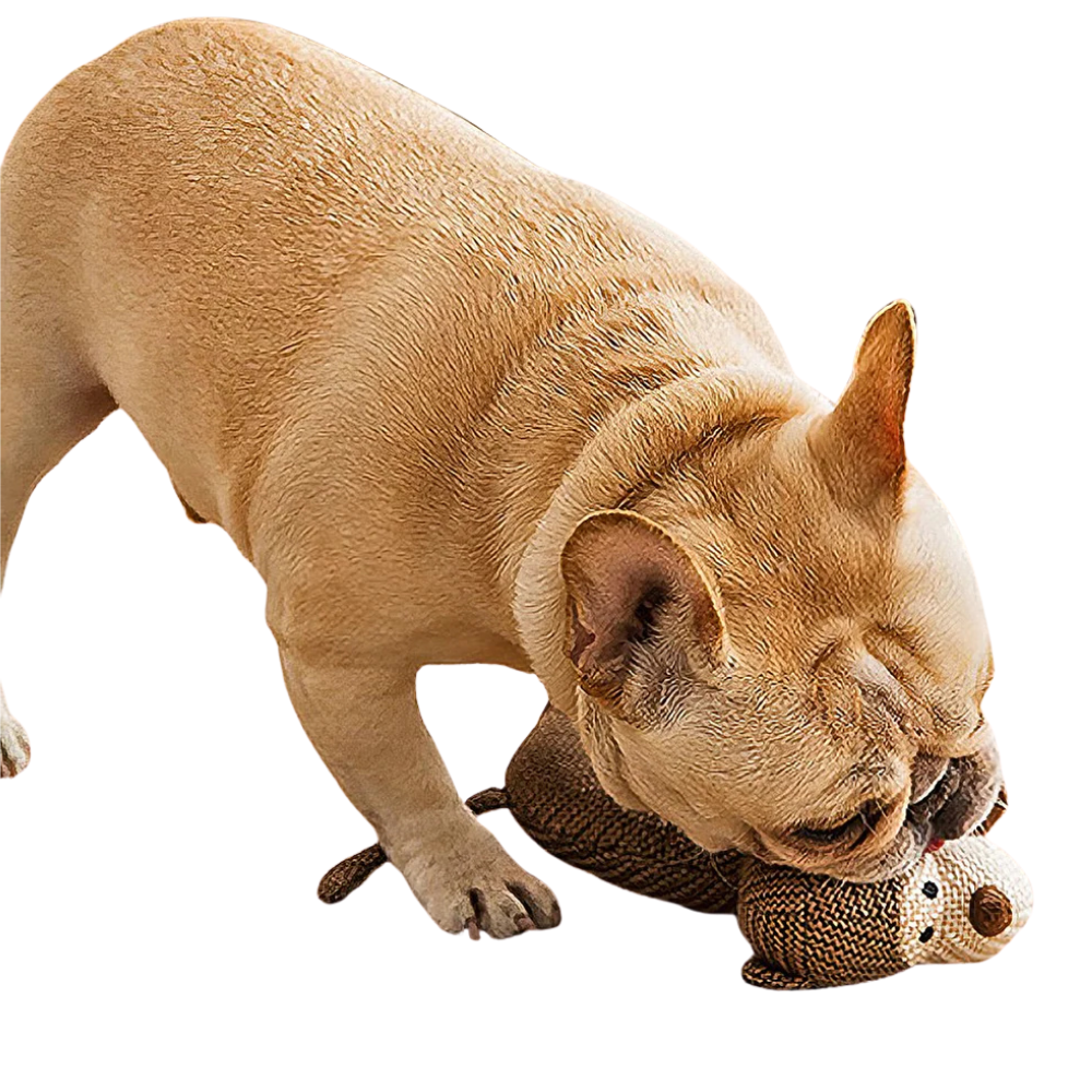 FluffyZoo | Plush Dog Toy