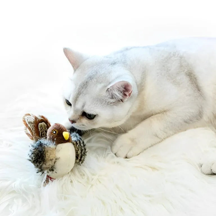 FlutterPlay │ Interactive Bird Cat Toy